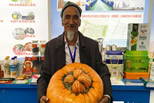 疏附县71岁大叔抱着南瓜上展会