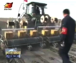 农八师打造兵团最大机采棉种植基地