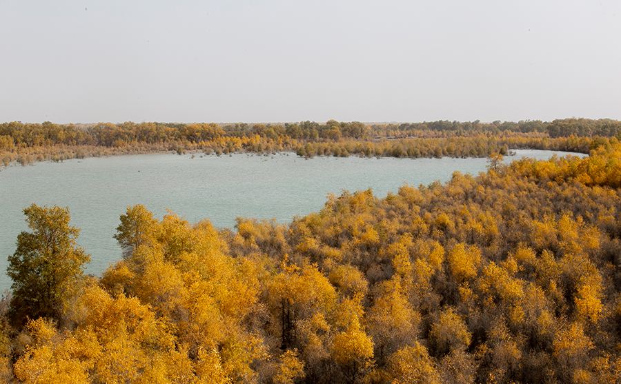 新疆沙雅：月亮湾景区秋色美