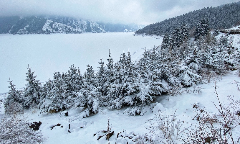 雪落天池